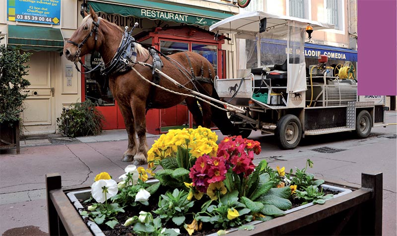 La bonne image du cheval utilitaire