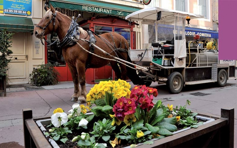 La bonne image du cheval utilitaire