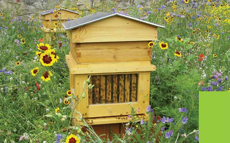 Le jardin protecteur des abeilles