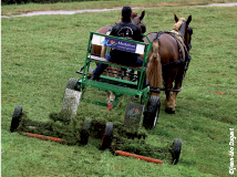 Les atouts du cheval territorial