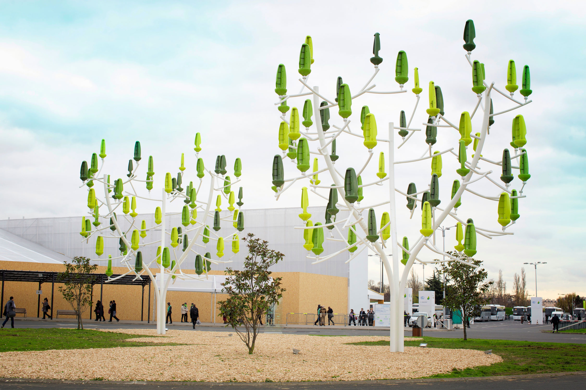 De l’énergie dans les feuilles de l’arbre