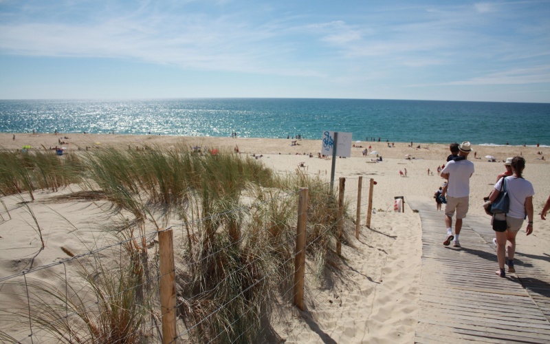 Office national des forêts La dune, un trésor à protéger