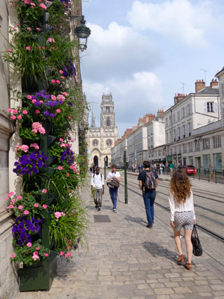 Entretien Des jardins au naturel