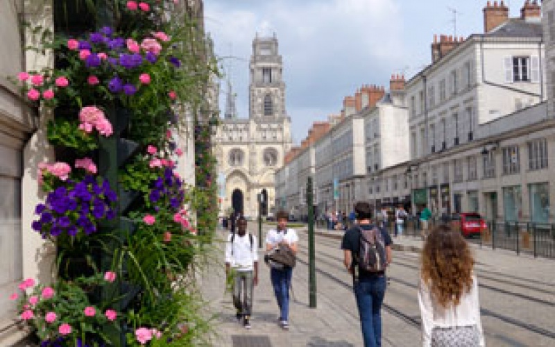 Entretien  Des jardins au naturel