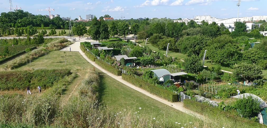 jardins familiaux