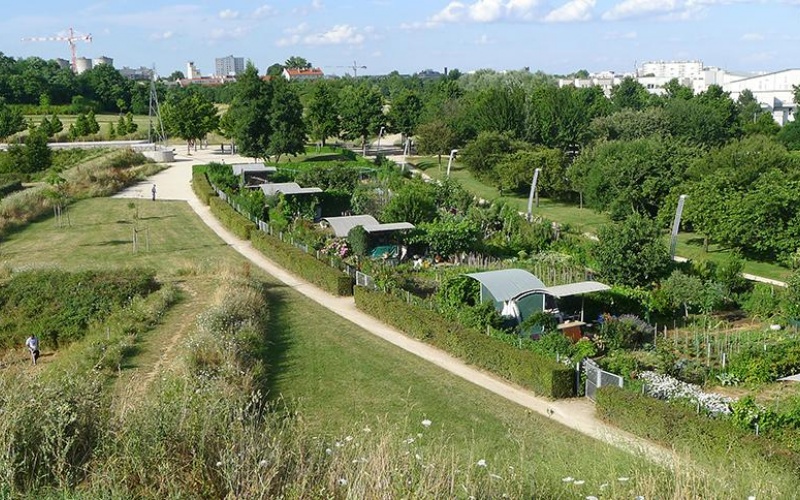 jardins familiaux