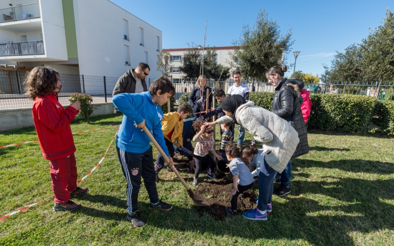 paysagisme comestible – Toulouse