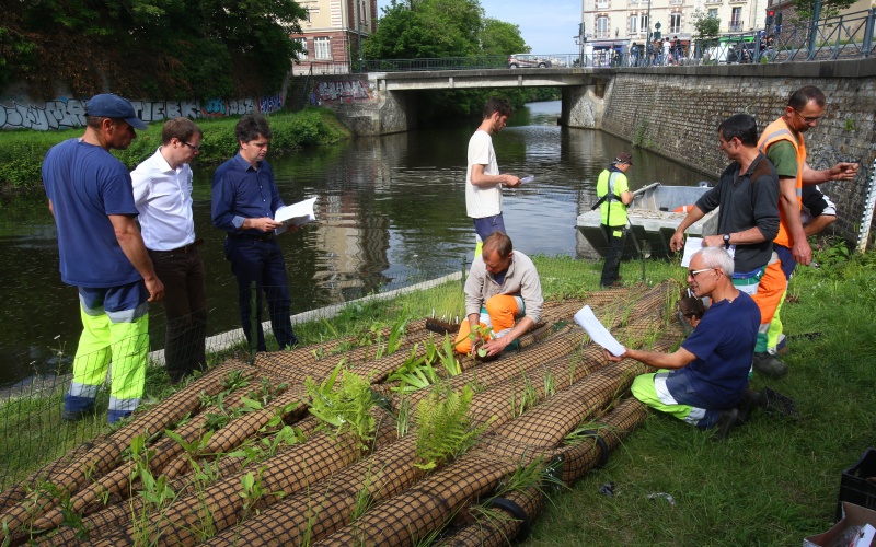 Rennes – jardins flottants