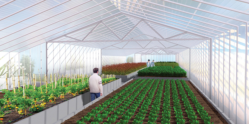 Les Jardins perchés cultivent lien social, fruits et légumes