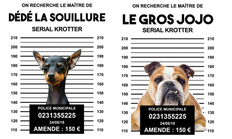 Déjections canines : la carte de l'humour