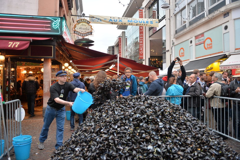 Lille : les coquilles de moules transformées en carrelage