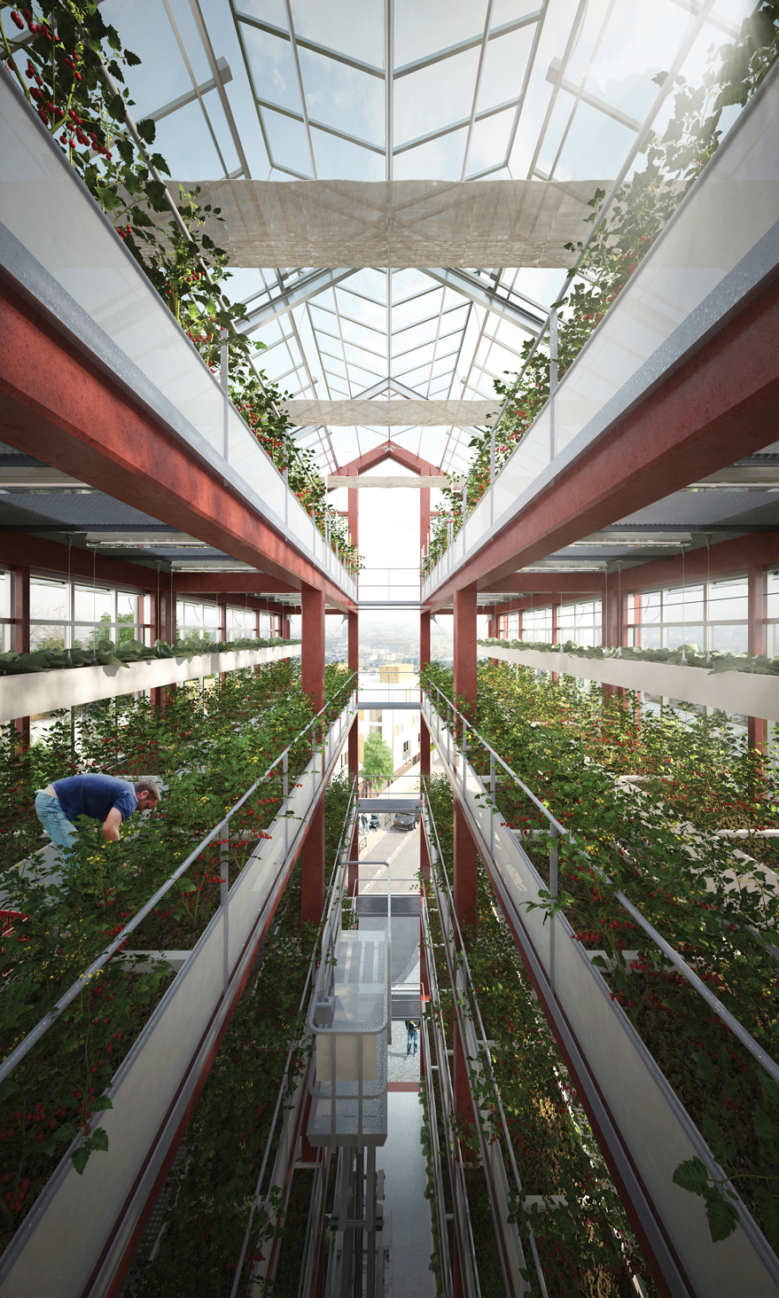 ROMAINVILLE : L'AGRICULTURE URBAINE PREND DE LA HAUTEUR