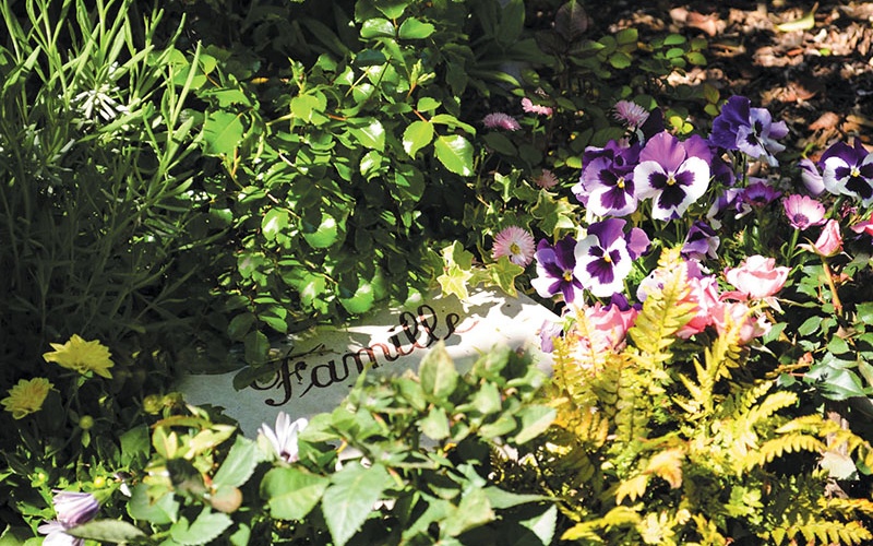 NIORT : UN CIMETIÈRE ÉCOLOGIQUE POUR L’ÉTERNITÉ