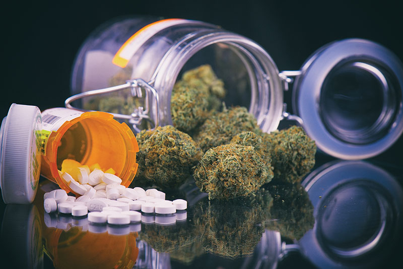 Creuse : Du cannabis thérapeutique pour soigner l'économie et les patients
