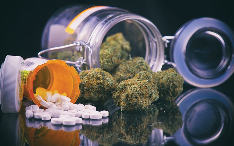 Creuse : Du cannabis thérapeutique pour soigner l'économie et les patients