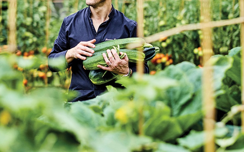 Département des Yvelines : Les légumes de George V cultivés dans un potager exemplaire.