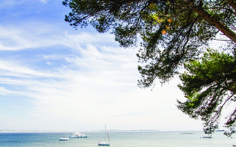 Réseau électrique intelligent : l'île Sainte-Marguerite ne craint plus la panne électrique