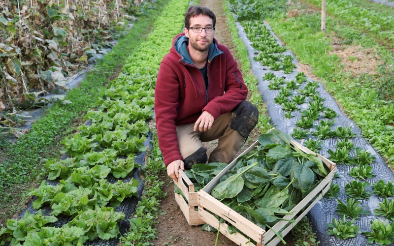 Occitanie. une plateforme pour commander ses courses et consommer local