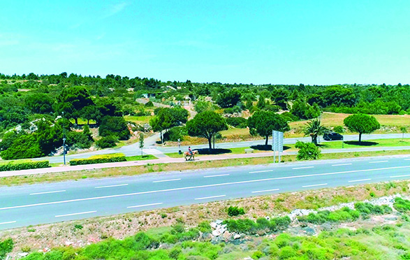 "La Forêt à la plage" Leucate toujours à l'avant-garde