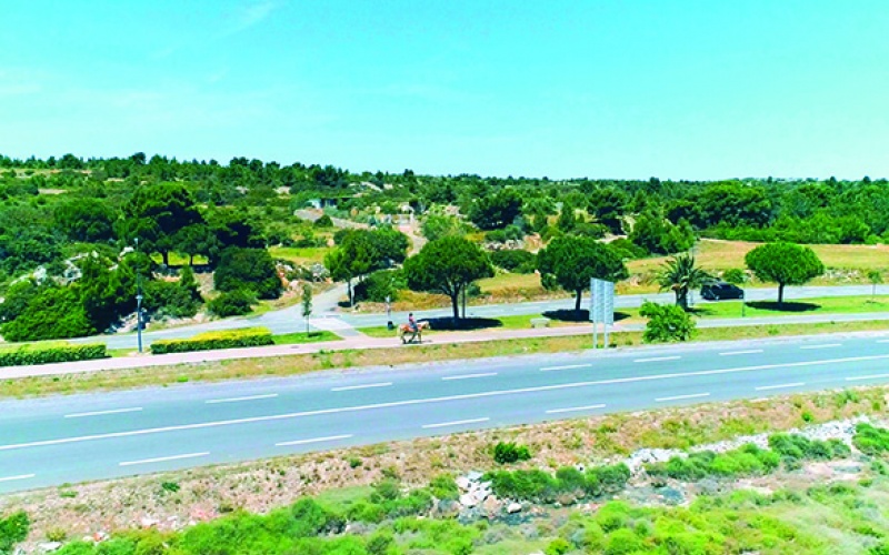 "La Forêt à la plage" Leucate toujours à l'avant-garde