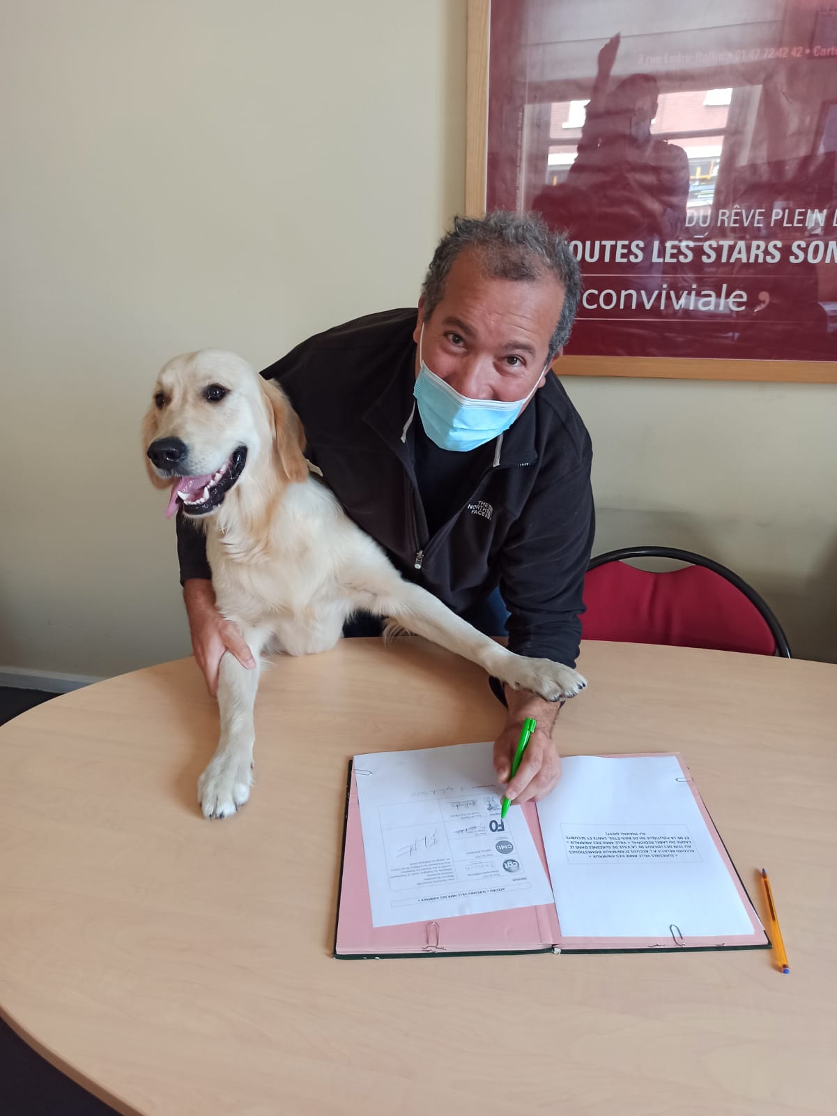 Chats, chiens, poissons rouges : les nouveaux voisins de bureau des agents de Suresnes