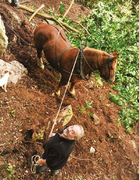 « L’énergie animale, une énergie d'avenir ! »