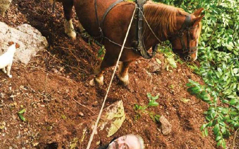 « L’énergie animale, une énergie d'avenir ! »