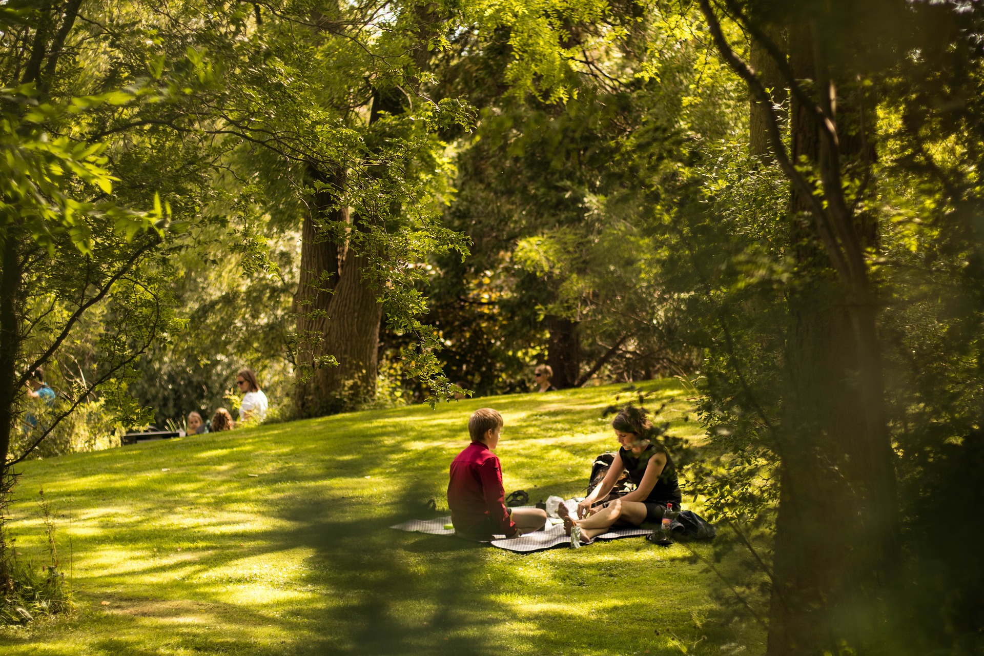 Forêt urbaine : l'ONF accompagne les collectivités pour réinventer la nature en ville